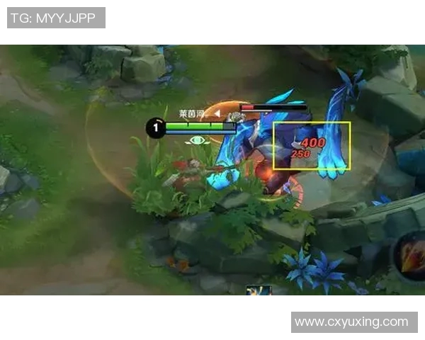 电竞高手赵丽独家揭秘王者荣耀游戏技巧与心得分享